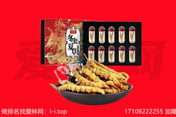 宣城市泾县回收虫草.jpg